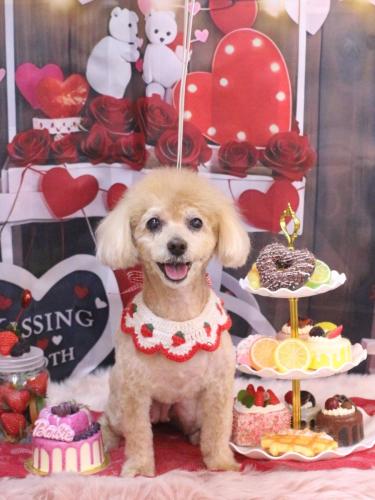 20250223プーちゃん